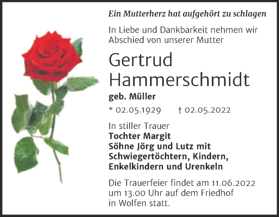 Traueranzeige von Gertrud Hammerschmidt von Mitteldeutsche Zeitung Bitterfeld