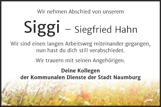 Traueranzeige von Siegfried Hahn von Wochenspiegel Naumburg/Nebra