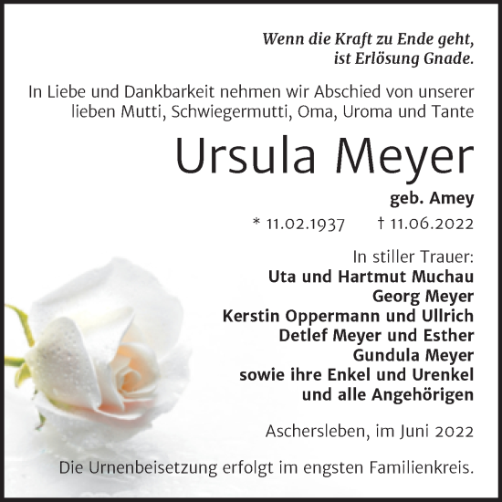 Traueranzeige von Ursula Meyer von Trauerkombi Aschersleben
