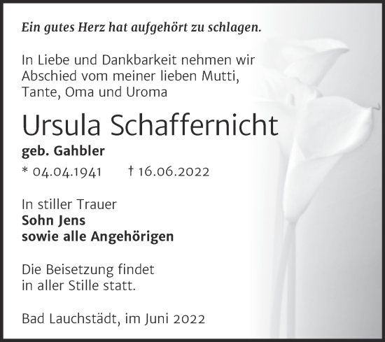 Traueranzeige von Ursula Schaffernicht von Trauerkombi Merseburg