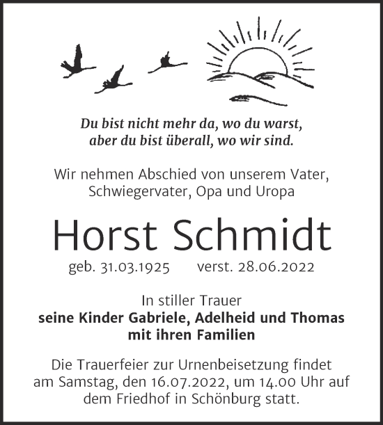 Traueranzeige von Horst Schmidt von Naumburger Tageblatt