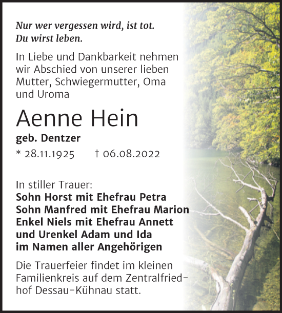 Traueranzeige von Aenne Hein von Trauerkombi Dessau