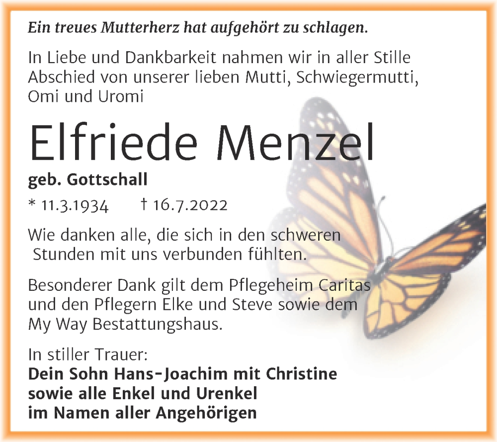 Traueranzeige für Elfriede Menzel vom 20.08.2022 aus Trauerkombi Weißenfels