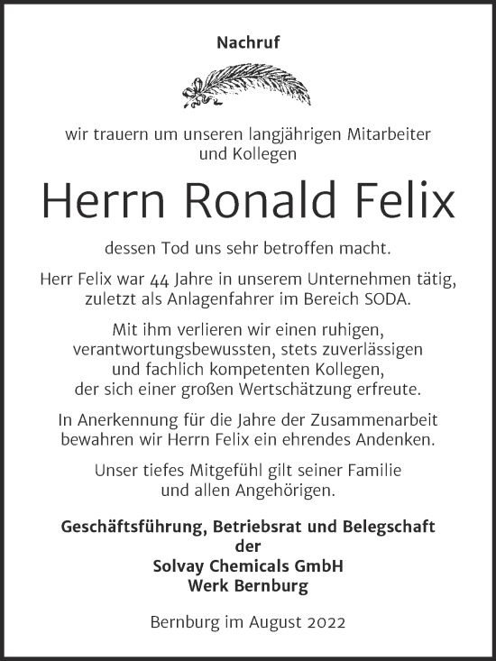 Traueranzeige von Ronald Felix von Super Sonntag Bernburg