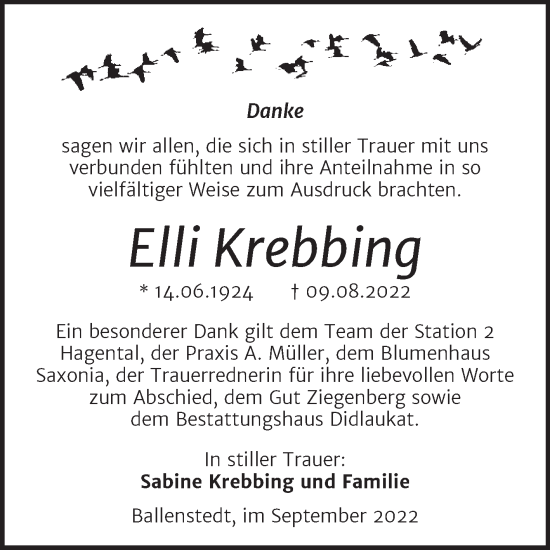 Traueranzeige von Elli Krebbing von Super Sonntag Quedlingburg