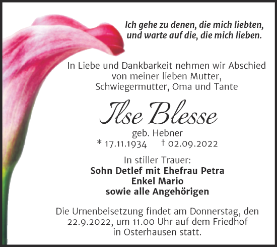 Traueranzeige von Ilse Blesse von Trauerkombi Mansfelder Land