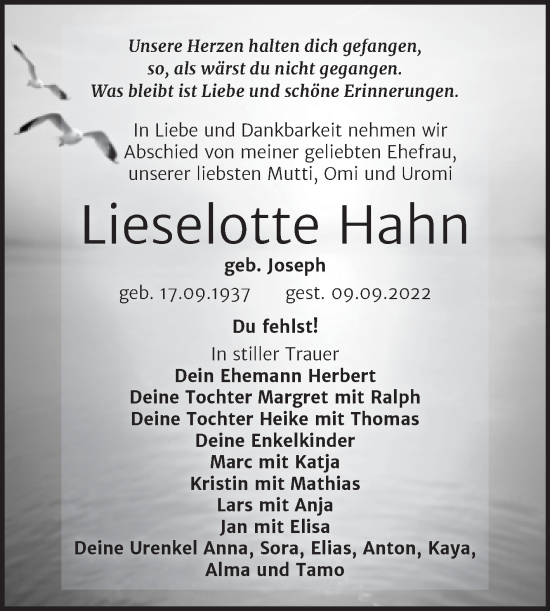 Traueranzeige von Lieselotte Hahn von Trauerkombi Weißenfels
