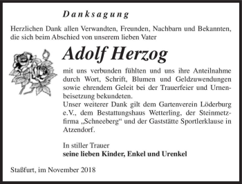 Traueranzeige von Adolf Herzog  von Magdeburger Volksstimme