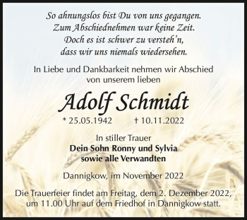 Traueranzeige von Adolf Schmidt  von Magdeburger Volksstimme