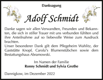 Traueranzeige von Adolf Schmidt  von Magdeburger Volksstimme