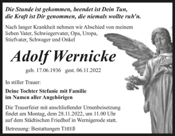 Traueranzeige von Adolf Wernicke  von Magdeburger Volksstimme
