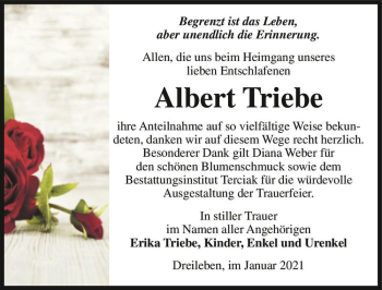 Traueranzeige von Albert Triebe  von Magdeburger Volksstimme