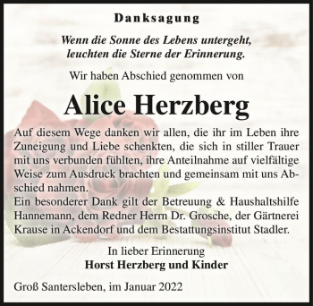 Traueranzeige von Alice Herzberg  von Magdeburger Volksstimme