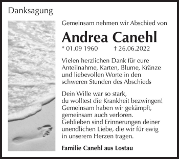 Traueranzeige von Andrea Canehl  von Magdeburger Volksstimme