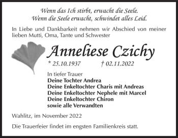 Traueranzeige von Anneliese Czichy  von Magdeburger Volksstimme