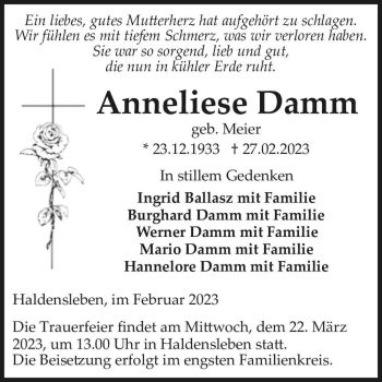 Traueranzeige von Anneliese Damm (geb. Meier)  von Magdeburger Volksstimme