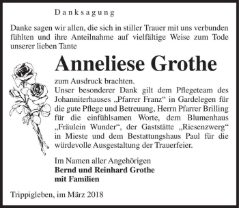 Traueranzeige von Anneliese Grothe  von Magdeburger Volksstimme
