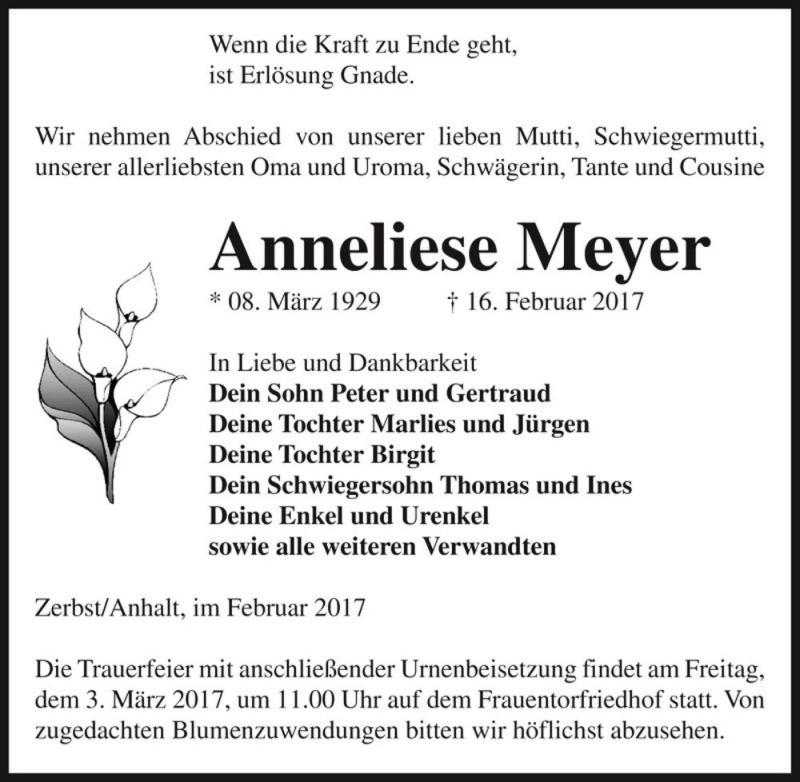  Traueranzeige für Anneliese Meyer  vom 25.02.2017 aus Magdeburger Volksstimme