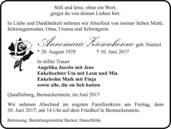 Traueranzeige von Annemarie Ziesenhenne (geb. Nietzel)  von Magdeburger Volksstimme