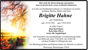 Traueranzeige von Brigitte Hahne (geb. Hindenberg)  von Magdeburger Volksstimme