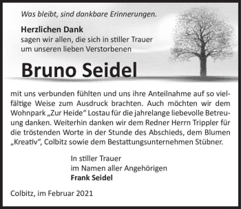Traueranzeige von Bruno Seidel  von Magdeburger Volksstimme