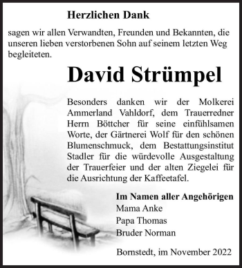 Traueranzeige von David Strümpel  von Magdeburger Volksstimme