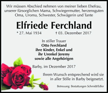 Traueranzeige von Elfriede Ferchland  von Magdeburger Volksstimme