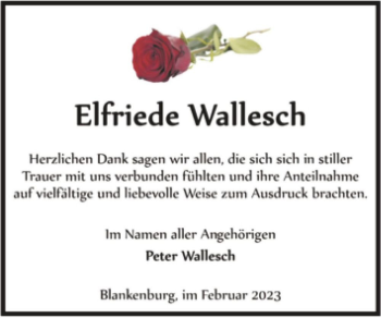 Traueranzeige von Elfriede Wallesch  von Magdeburger Volksstimme