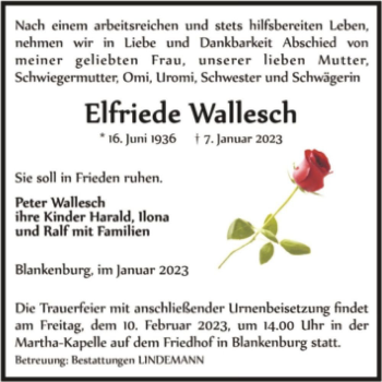 Traueranzeige von Elfriede Wallesch  von Magdeburger Volksstimme