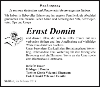Traueranzeige von Ernst Domin  von Magdeburger Volksstimme