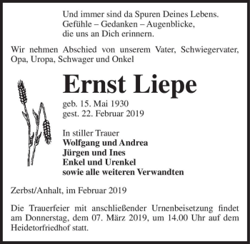 Traueranzeige von Ernst Liepe  von Magdeburger Volksstimme