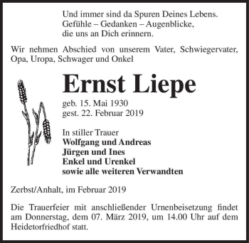 Traueranzeige von Ernst Liepe  von Magdeburger Volksstimme