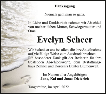 Traueranzeige von Evelyn Scheer  von Magdeburger Volksstimme