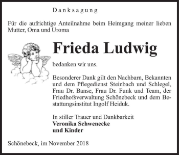 Traueranzeige von Frieda Ludwig  von Magdeburger Volksstimme