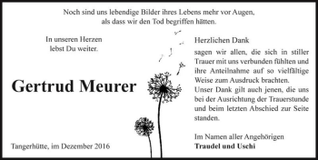 Traueranzeige von Gertrud Meurer  von Magdeburger Volksstimme