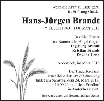 Traueranzeige von Hans-Jürgen Brandt  von Magdeburger Volksstimme