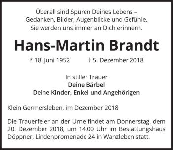 Traueranzeige von Hans-Martin Brandt  von Magdeburger Volksstimme