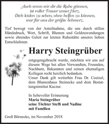 Traueranzeige von Harry Steingrüber  von Magdeburger Volksstimme