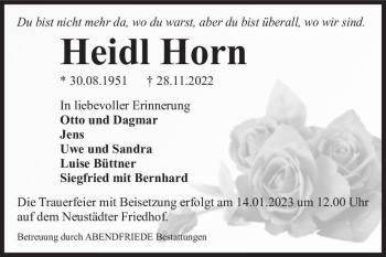 Traueranzeige von Heidl Horn  von Magdeburger Volksstimme