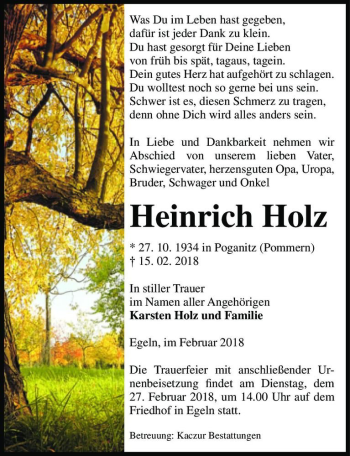 Traueranzeige von Heinrich Holz  von Magdeburger Volksstimme