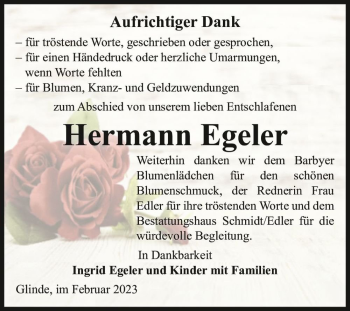 Traueranzeige von Hermann Egeler  von Magdeburger Volksstimme