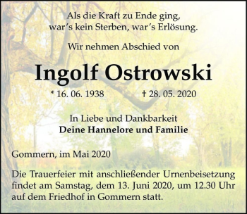 Traueranzeige von Ingolf Ostrowski  von Magdeburger Volksstimme