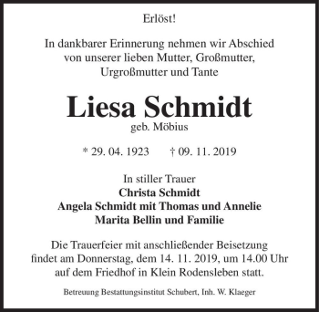 Traueranzeige von Liesa Schmidt (geb. Möbius)  von Magdeburger Volksstimme