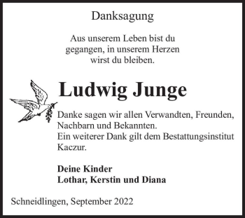Traueranzeige von Ludwig Junge  von Magdeburger Volksstimme