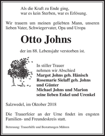 Traueranzeige von Otto Johns  von Magdeburger Volksstimme