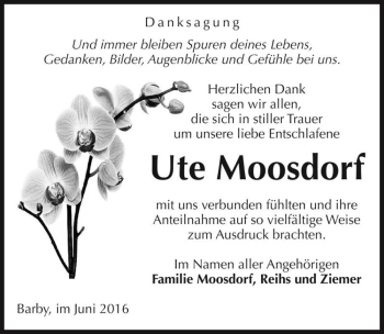 Traueranzeige von Ute Moosdorf  von Magdeburger Volksstimme