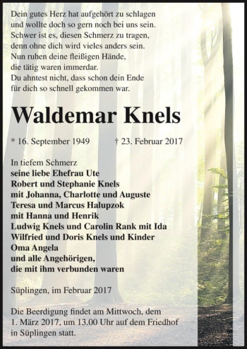 Traueranzeige von Waldemar Knels  von Magdeburger Volksstimme