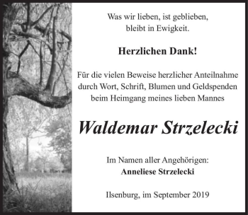 Traueranzeige von Waldemar Strzelecki  von Magdeburger Volksstimme