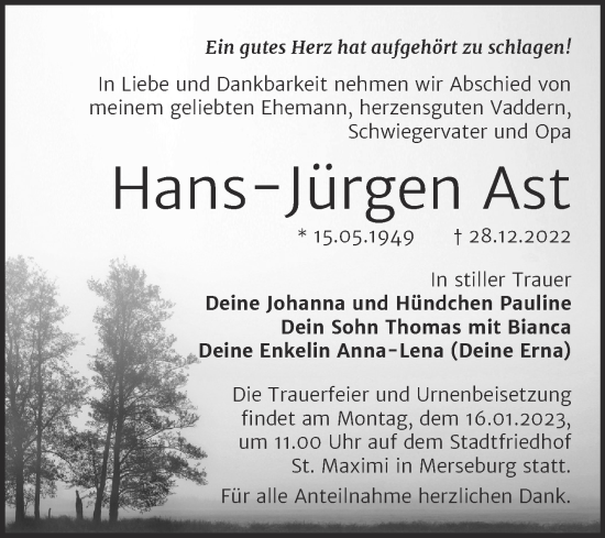 Traueranzeige von Hans-Jürgen Ast von Trauerkombi Merseburg