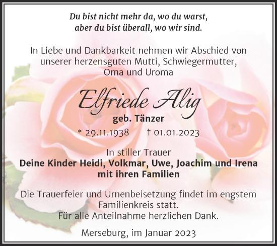 Traueranzeige von Elfriede Alig von Trauerkombi Merseburg